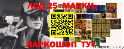 мяу мяу мука Тара