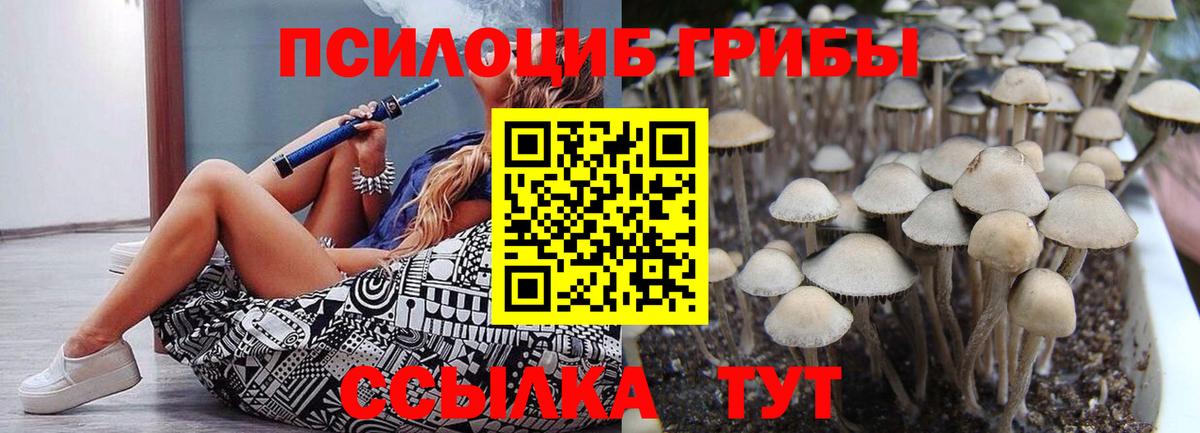 Псилоцибиновые грибы ЛСД  Галлюциногенные грибы Psilocybine cubensis  Набережные Челны  Вход с VPN 